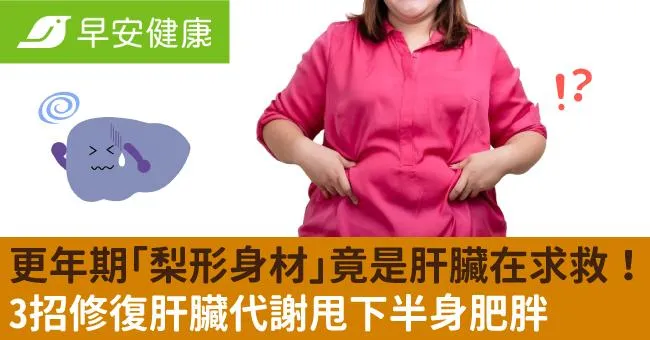 更年期「梨形身材」竟是肝臟在求救！3招修復肝臟代謝甩下半身肥胖