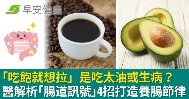 「吃飽就想拉」是吃太油或生病？醫解析「腸道訊號」4招打造養腸節律