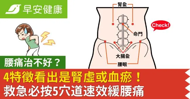 腰痛治不好？4特徵看出是腎虛或血瘀！救急必按5穴道速效緩腰痛