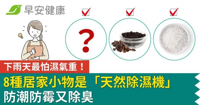 下雨天最怕濕氣重！8種居家小物是「天然除濕機」防潮防霉又除臭