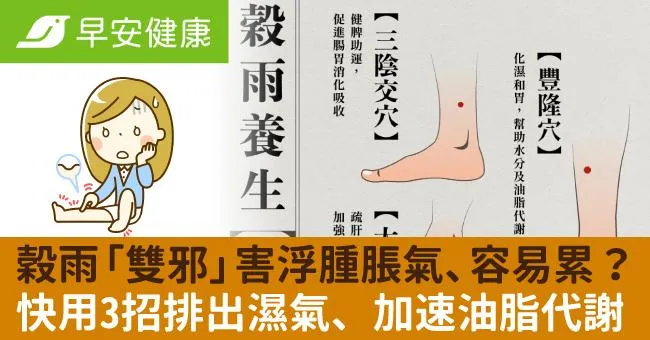 穀雨「雙邪」害浮腫脹氣、容易累？快用3招排出濕氣、加速油脂代謝