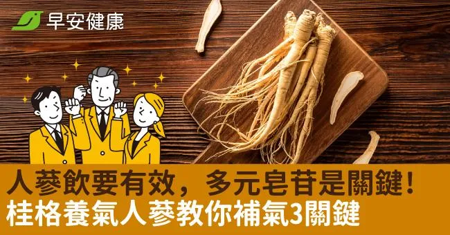 人蔘飲要有效，多元皂苷是關鍵！桂格養氣人蔘教你補氣3關鍵