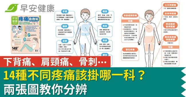 下背痛、肩頸痛、骨刺⋯14種不同疼痛該掛哪一科？兩張圖教你分辨