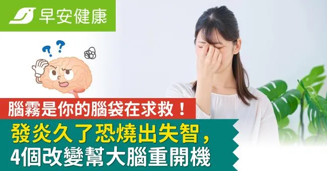 腦霧是你的腦袋在求救！發炎久了恐燒出失智，4個改變幫大腦重開機