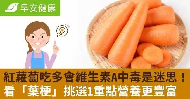紅蘿蔔吃多會維生素A中毒是迷思！看「葉梗」挑選1重點營養更豐富