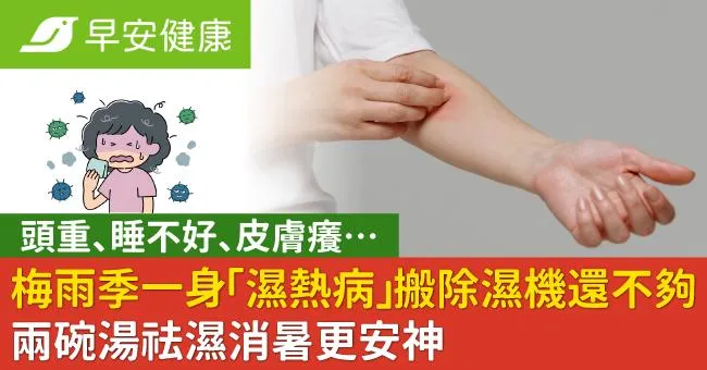 梅雨季一身「濕熱病」搬除濕機還不夠！兩碗湯祛濕消暑更安神