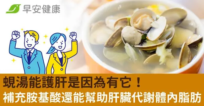 蜆湯能護肝是因為有它！補充胺基酸還能幫助肝臟代謝體內脂肪