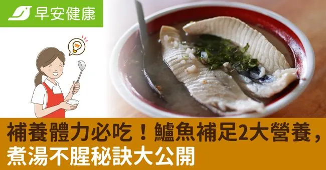補養體力必吃！鱸魚補足2大營養，煮湯不腥秘訣大公開