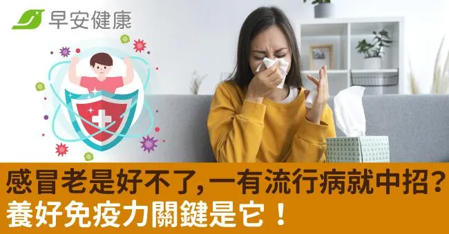 感冒老是好不了，一有流行病就中招？養好免疫力關鍵是它！