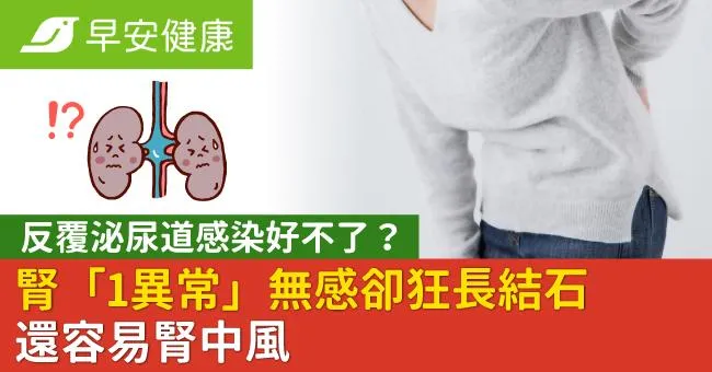 反覆泌尿道感染好不了？腎「1異常」無感卻狂長結石還容易腎中風
