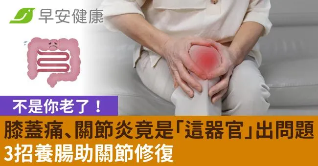 不是你老了！膝蓋痛、關節炎竟是「這器官」出問題，3招養腸助關節修復