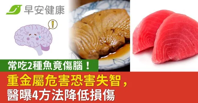 常吃2種魚竟傷腦！重金屬危害恐害失智，醫曝4方法降低損傷