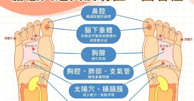 腳底穴道與反射區在哪裡？腳底穴道位置、好處與按摩技巧