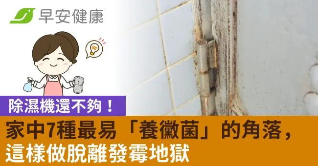 除濕機還不夠！家中7種最易「養黴菌」的角落，這樣做脫離發霉地獄
