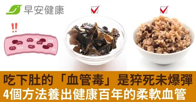 吃下肚的「血管毒」是猝死未爆彈！4個方法養出健康百年的柔軟血管