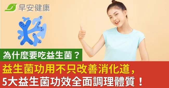為什麼要吃益生菌？益生菌功用不只改善消化道，5大益生菌功效全面調理體質！