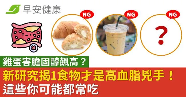 雞蛋害膽固醇飆高？新研究揭1食物才是高血脂兇手！這些你可能都常吃