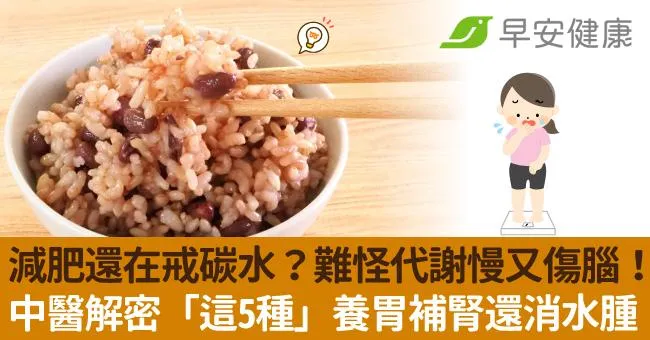 減肥還在戒碳水？難怪代謝慢又傷腦！中醫解密「這5種」養胃補腎還消水腫