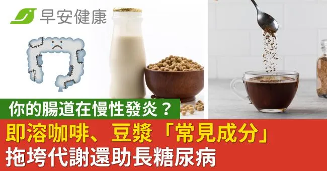 你的腸道在慢性發炎？即溶咖啡、豆漿「常見成分」拖垮代謝還助長糖尿病