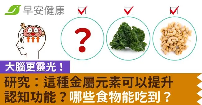 大腦更靈光！研究：這種金屬元素可以提升認知功能？哪些食物能吃到？