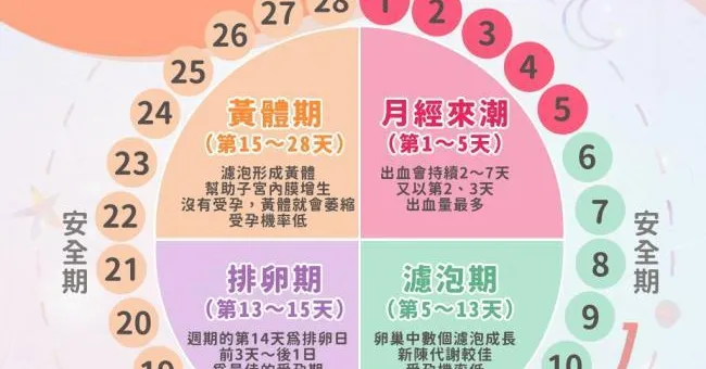 安全期怎麼算？避孕安全期、危險期計算方式一次看
