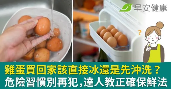 雞蛋買回家該直接冰還是先沖洗？危險習慣別再犯，達人教正確保鮮法