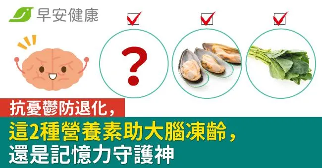 抗憂鬱防退化，這2種營養素助大腦凍齡，還是記憶力守護神