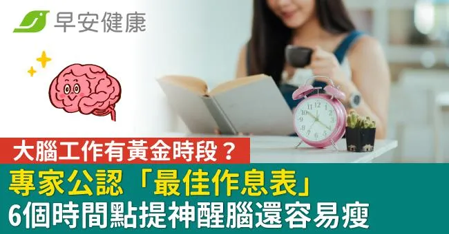 大腦工作有黃金時段？專家公認「最佳作息表」6個時間點提神醒腦還容易瘦