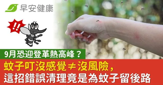 9月恐迎登革熱高峰？蚊子叮沒感覺≠沒風險，這招錯誤清理竟是為蚊子留後路