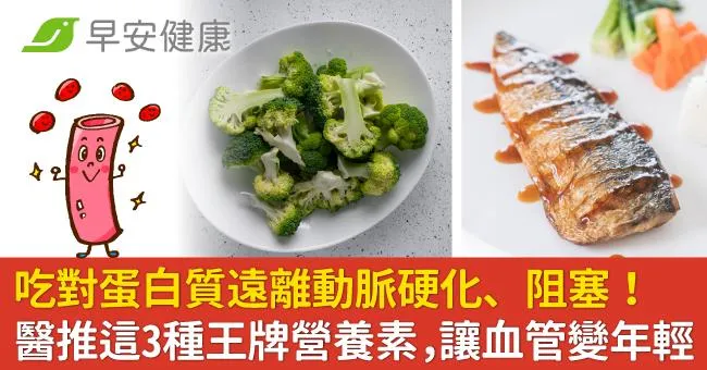 吃對蛋白質遠離動脈硬化、阻塞！醫推這3種王牌營養素，讓血管變年輕