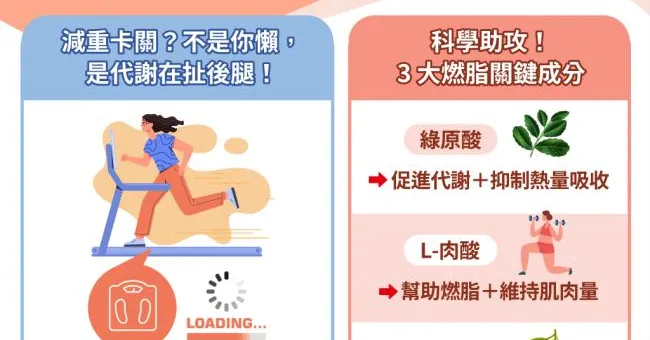 代謝力不足怎麼辦？醫師揭3大體態管理關鍵成分，加速增肌減脂！