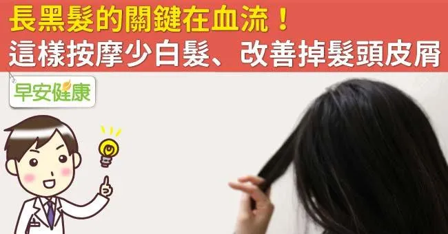 長黑髮的關鍵在血流！這樣按摩少白髮、改善掉髮頭皮屑