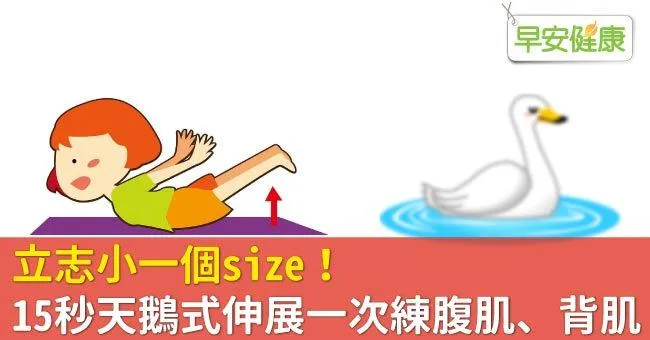 立志小一個size！15秒天鵝式伸展一次練腹肌、背肌