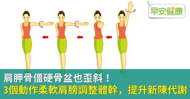 肩胛骨僵硬骨盆也歪斜！3個動作柔軟肩膀調整體幹，提升新陳代謝