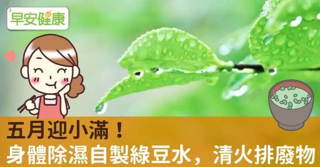 五月迎小滿！身體除濕自製綠豆水，清火排廢物