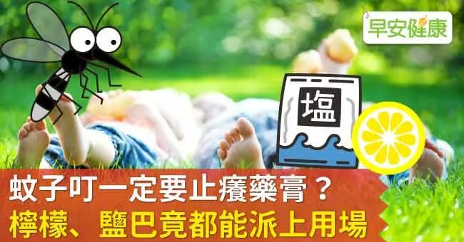 蚊子叮一定要止癢藥膏？檸檬、鹽巴竟都能派上用場
