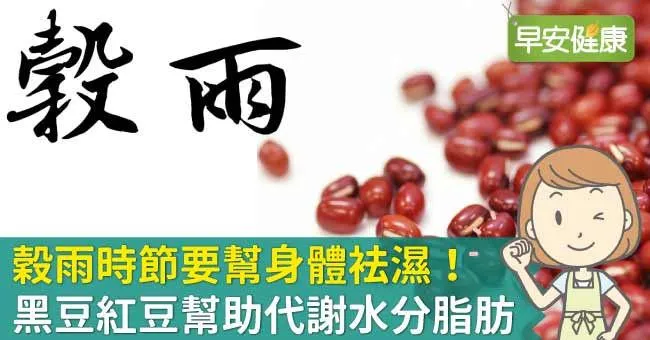 穀雨時節要幫身體袪濕！黑豆紅豆幫助代謝水分脂肪