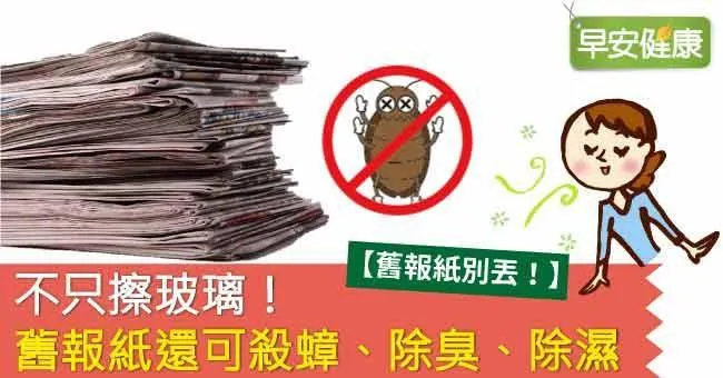 不只擦玻璃！舊報紙還可殺蟑、除臭、除濕