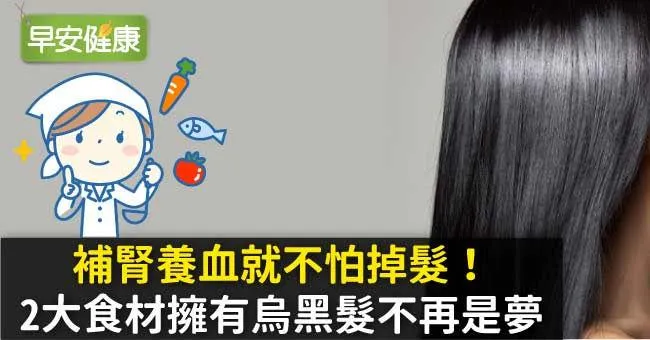 補腎養血就不怕掉髮！2大食材擁有烏黑髮不再是夢