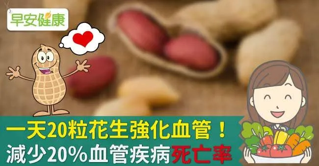 一天20粒花生強化血管！減少20％血管疾病死亡率