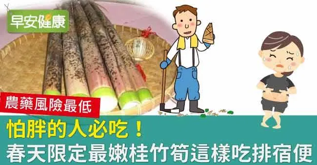 怕胖的人必吃！春天限定最嫩桂竹筍這樣吃排宿便
