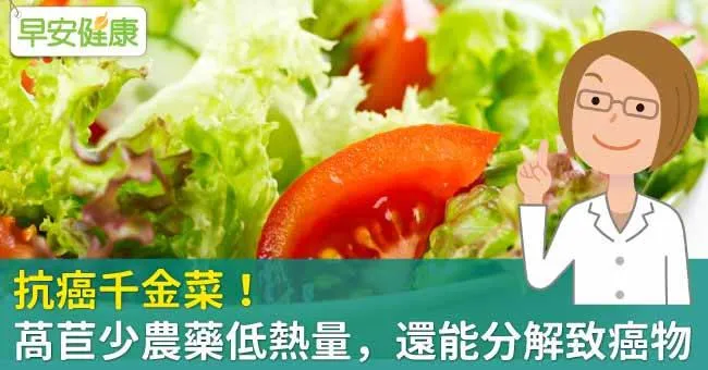 抗癌千金菜！萵苣少農藥低熱量，還能分解致癌物