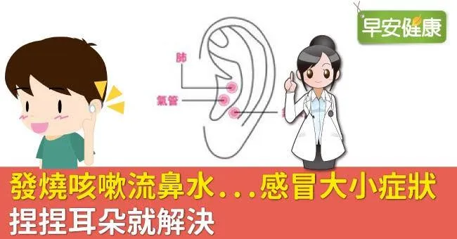 發燒咳嗽流鼻水...感冒大小症狀，捏捏耳朵就解決