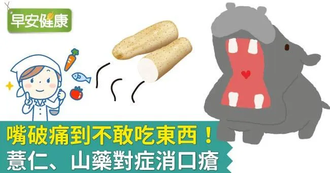 嘴破痛到不敢吃東西！薏仁、山藥對症消口瘡
