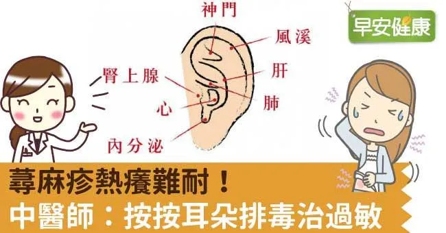 蕁麻疹熱癢難耐！中醫師：按按耳朵排毒治過敏