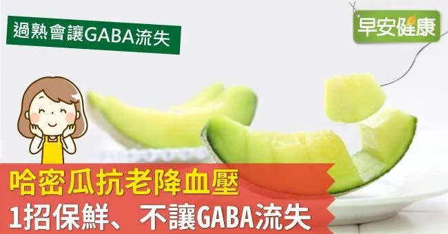 哈密瓜抗老降血壓，1招保鮮、不讓GABA流失