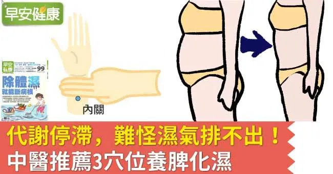 代謝停滯，難怪濕氣排不出！中醫推薦3穴位養脾化濕