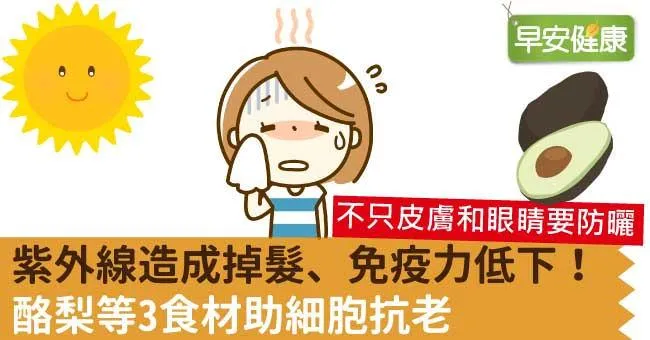 紫外線造成掉髮、免疫力低下！酪梨等3食材助細胞抗老