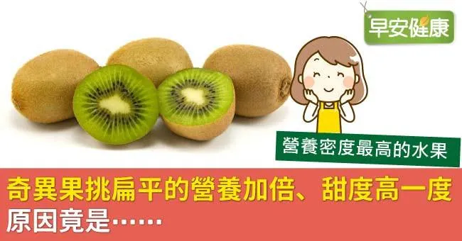 奇異果挑扁平的營養加倍、甜度高一度，原因竟是...