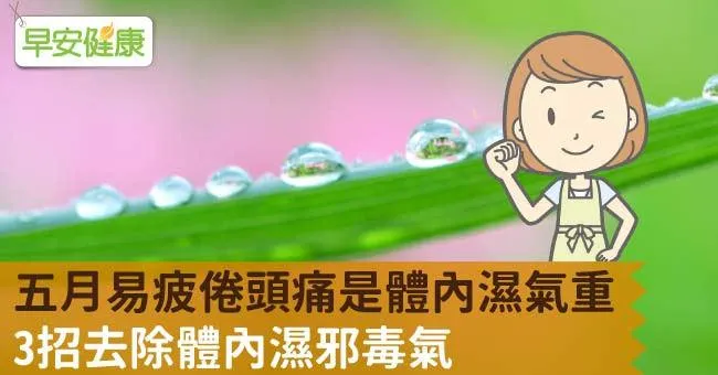 五月易疲倦頭痛是體內濕氣重，3招去除體內濕邪毒氣